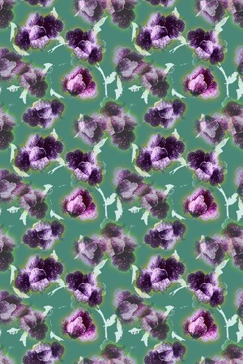 1275490-191117-蜡印-11-3