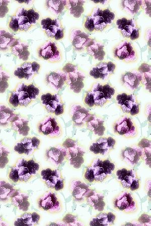 民族风图案印花华亿平台图片