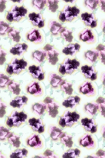 1275491-191117-蜡印-11-4