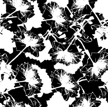 1275814-150702-01-黑底