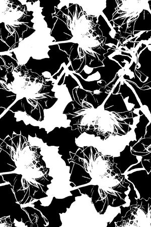 男装印花华亿平台图片