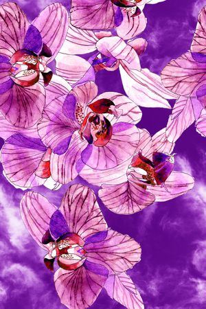 蝴蝶兰印花华亿平台图片