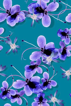 年轻女性印花华亿平台图片