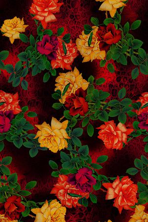 女装印花华亿平台图片