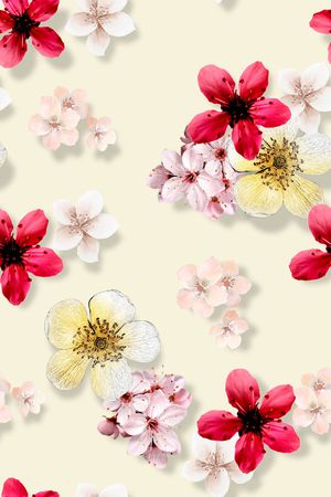 年轻女性印花华亿平台图片