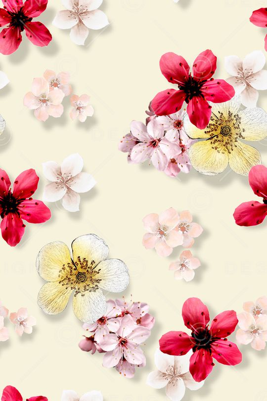 年轻女性印花华亿平台图片