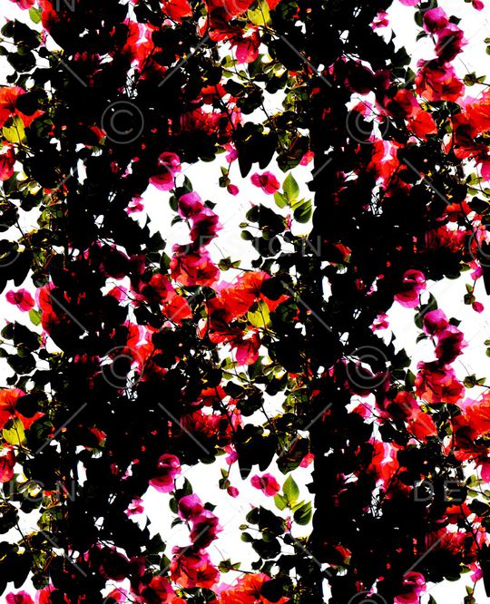 绿植树叶印花华亿平台图片