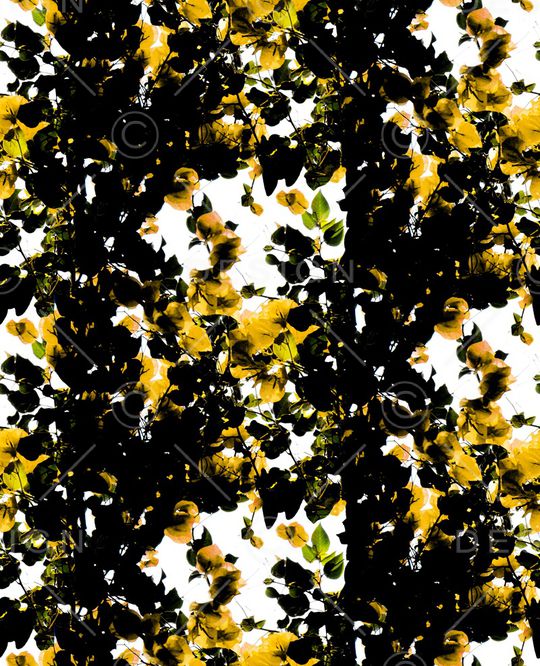 绿植树叶印花华亿平台图片