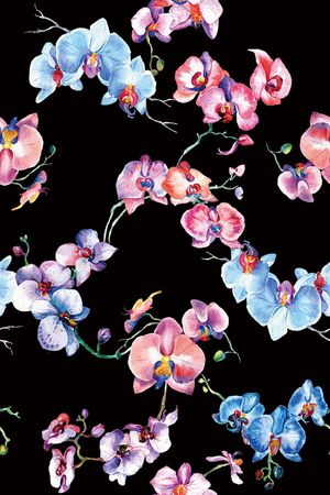 蝴蝶兰印花华亿平台图片