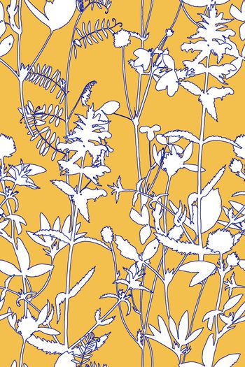 1276827-2019-11-20-A1