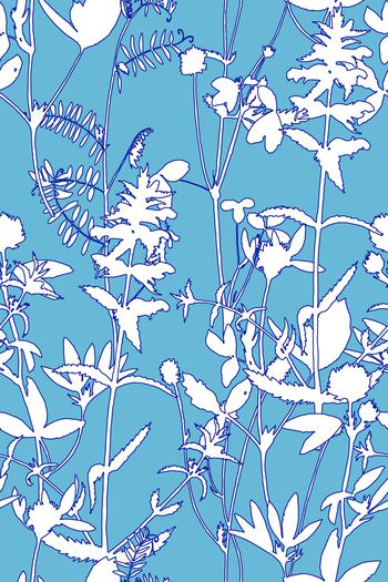 1276830-2019-11-20-B1