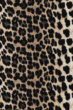 豹纹印花华亿平台图片