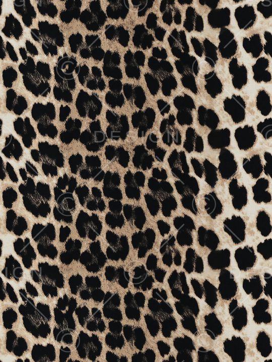 豹纹印花华亿平台图片