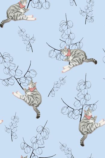 1277618-卧猫闻香