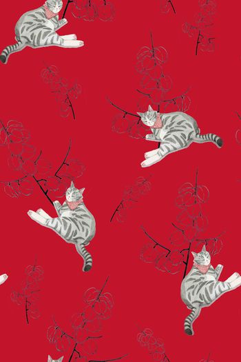 1277619-卧猫闻香B