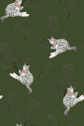 1277620-卧猫闻香C