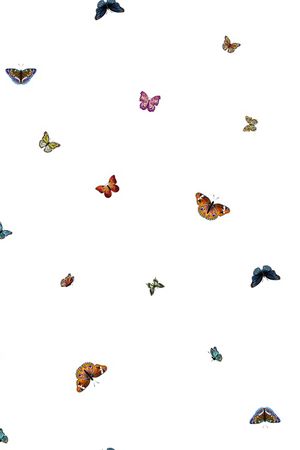 彩蝶印花华亿平台图片