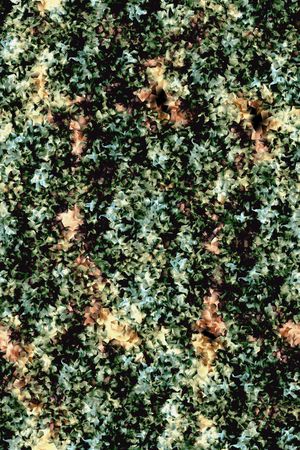 迷彩印花华亿平台图片