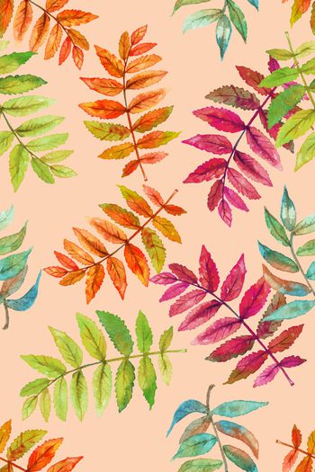 1278989-xcwh-dp03－a