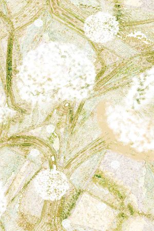 肌理印花华亿平台图片