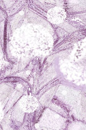 肌理印花华亿平台图片