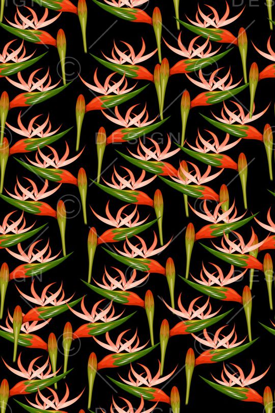 女装印花华亿平台图片