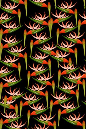 女装印花华亿平台图片