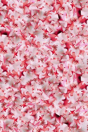 女装印花华亿平台图片