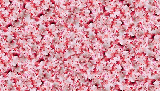 女装印花华亿平台图片