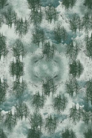 女装印花华亿平台图片