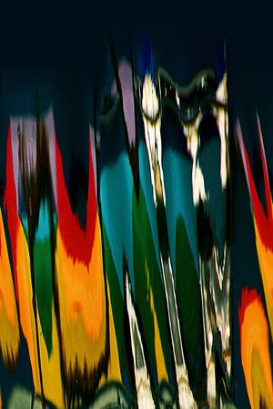 羽毛印花华亿平台图片