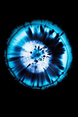 眼睛印花华亿平台图片