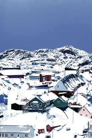 树枝印花华亿平台图片