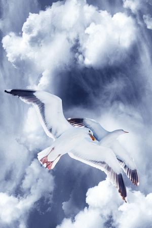 羽绒服印花华亿平台图片