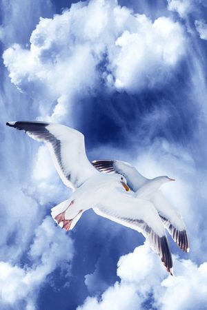 羽绒服印花华亿平台图片