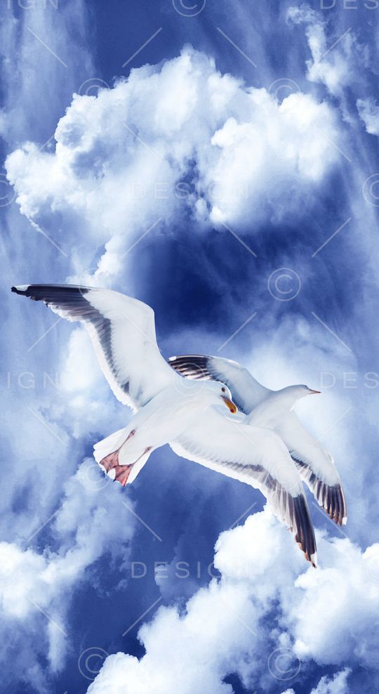 羽绒服印花华亿平台图片