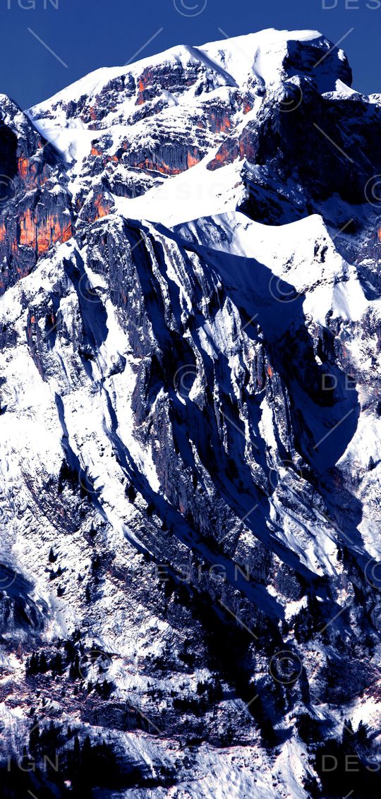 羽绒服印花华亿平台图片