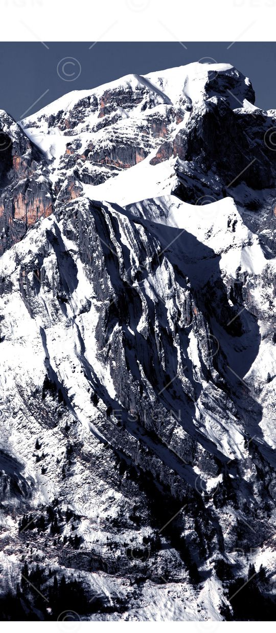 羽绒服印花华亿平台图片