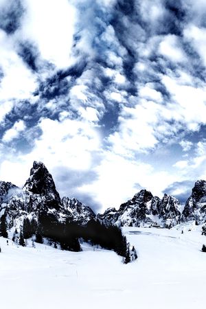 羽绒服印花华亿平台图片