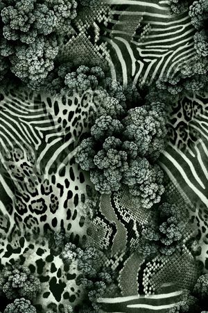 雪纺印花华亿平台图片