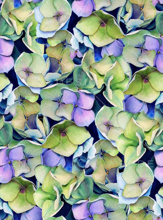 大牌风印花华亿平台图片