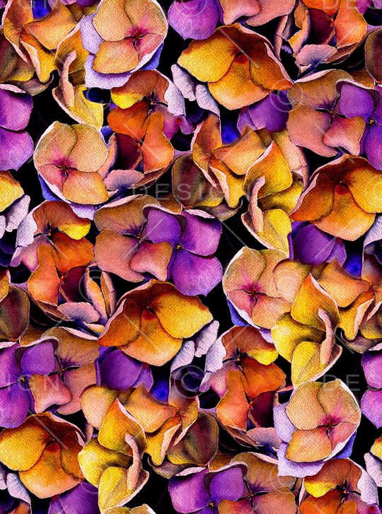 大牌风印花华亿平台图片