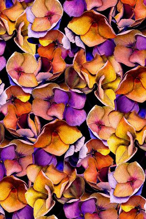 大牌风印花华亿平台图片