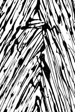 黑白条纹印花华亿平台图片