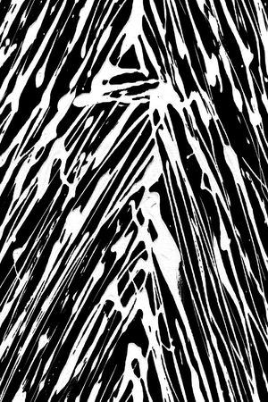 黑白条纹印花华亿平台图片