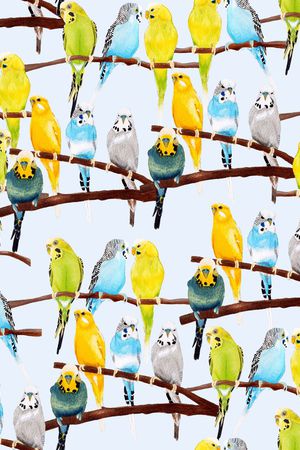 鹦鹉印花华亿平台图片