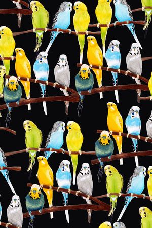 鹦鹉印花华亿平台图片