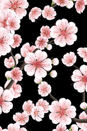 黑底花卉印花华亿平台图片