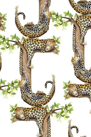 豹纹印花华亿平台图片