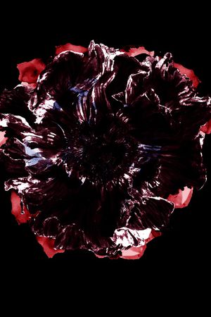 虞美人印花华亿平台图片